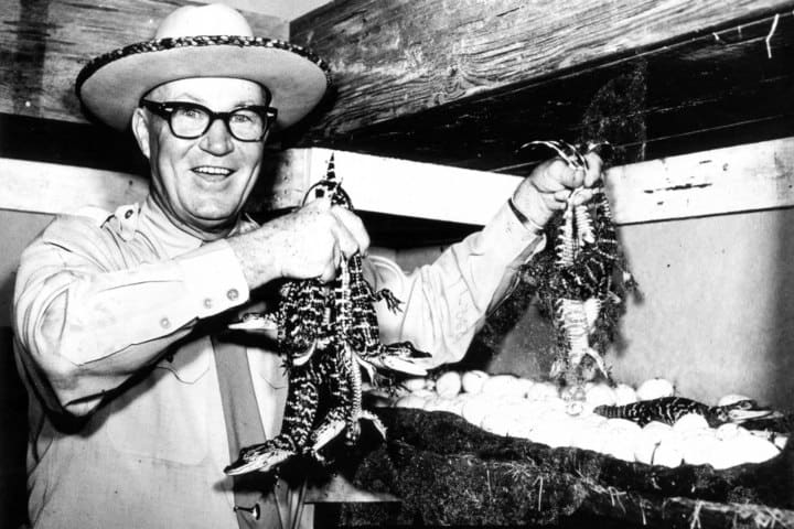 2. Owen Godwin, fundador de Gatorland. Foto - Gatorland