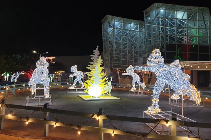 3. Esculturas de luz en el Parque Guanajuato Bicentenario. Foto - On a Road Leading Somewhere
