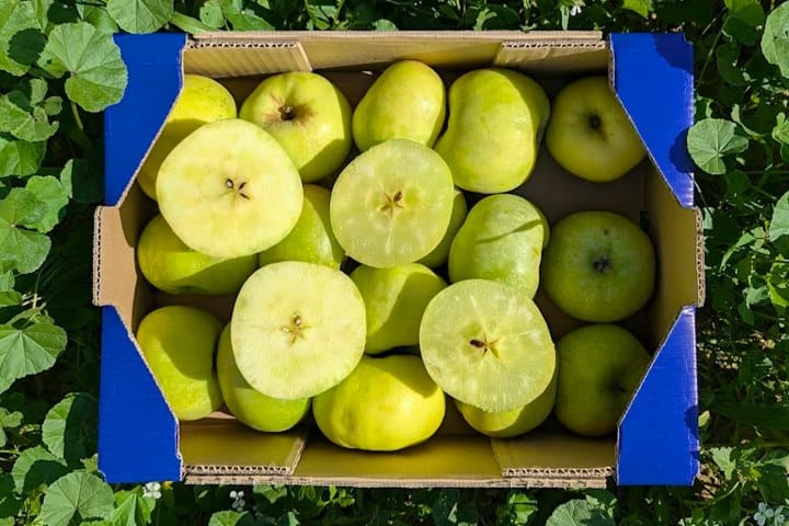 3. Caja de manzana esperiega. Foto - Europa Agricult Product