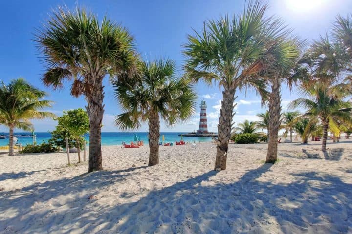 3. Ocean Cay MSC Marine Reserve. Foto - Alamy