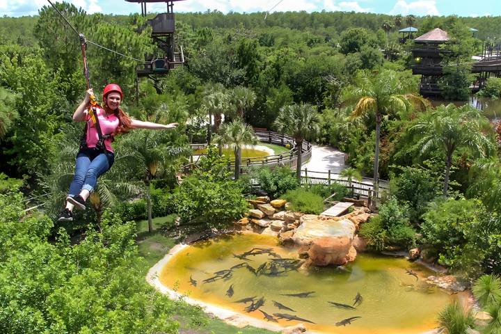 5. Tirolina Screamin’ Gator. Foto - Orlando Ticket