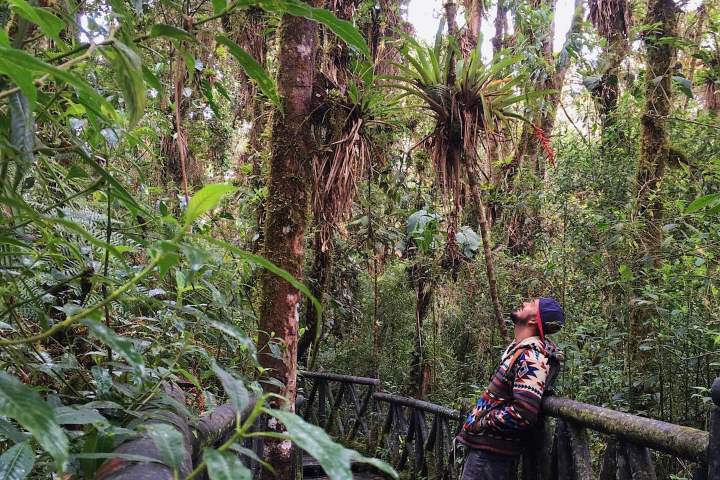 6. Visitante en el Santuario de Flora Isla de la Corota. Foto - @vidademochila (Instagram)