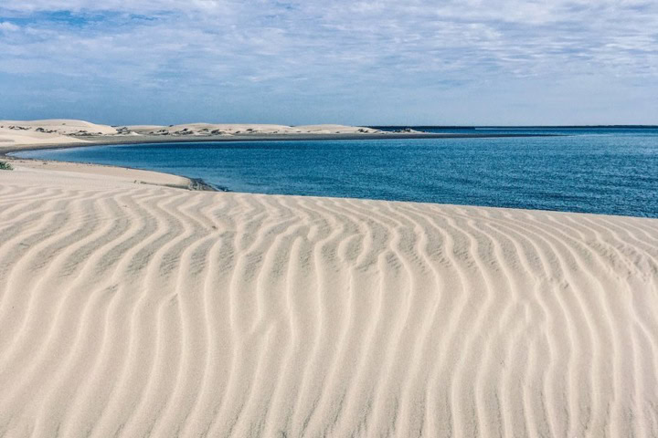 6. Isla Magdalena. Foto - @1earthphotography (Instagram)