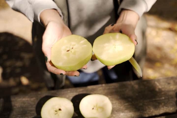 6. Manzana de hielo. Foto - Visit Comunitat Valenciana (YouTube)