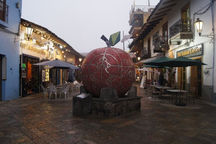 7. Manzana de Zacatlán. Foto - Gus Espinosa