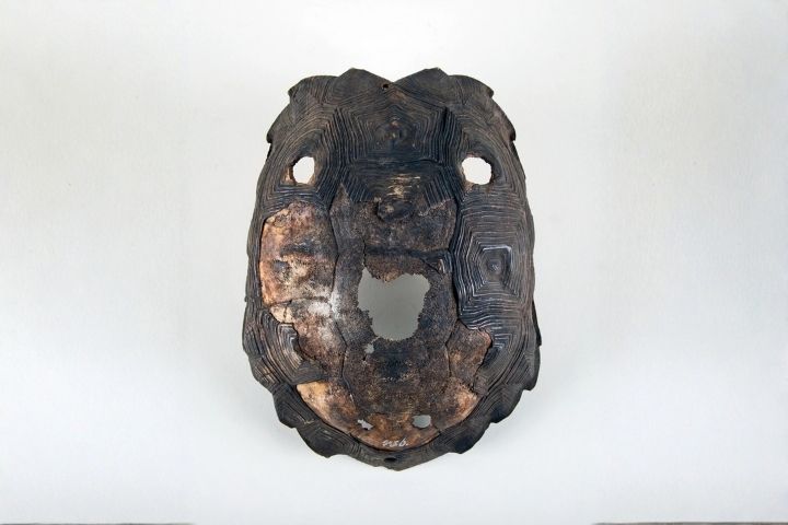 7. Máscara Kollon hecha de caparazón de tortuga en Museo Nacional de Historia Natural. Foto - @servicio_patrimonio (Instagram)