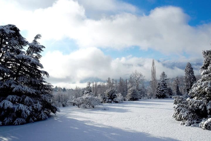 9. Paisaje de The Park en Chaplin’s World. Foto - chaplinsworld