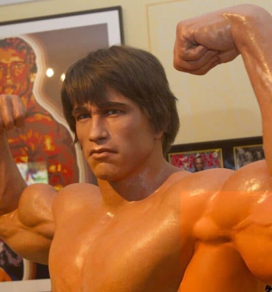 EL MUSEO DE ARNOLD SCHWARZENEGGER