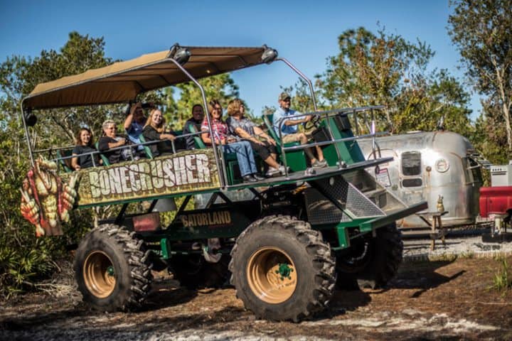 EXTRA. Stompin' Gator. Foto - Stompin' Gator