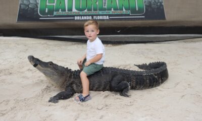 GATORLAND EN ORLANDO, FLORIDA