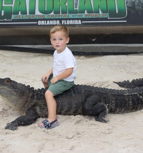 GATORLAND EN ORLANDO, FLORIDA