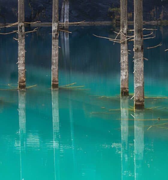 LAGO KAINDY EN KAZAJISTÁN
