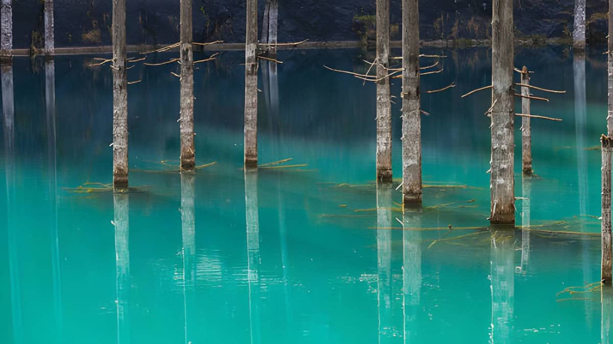 LAGO KAINDY EN KAZAJISTÁN
