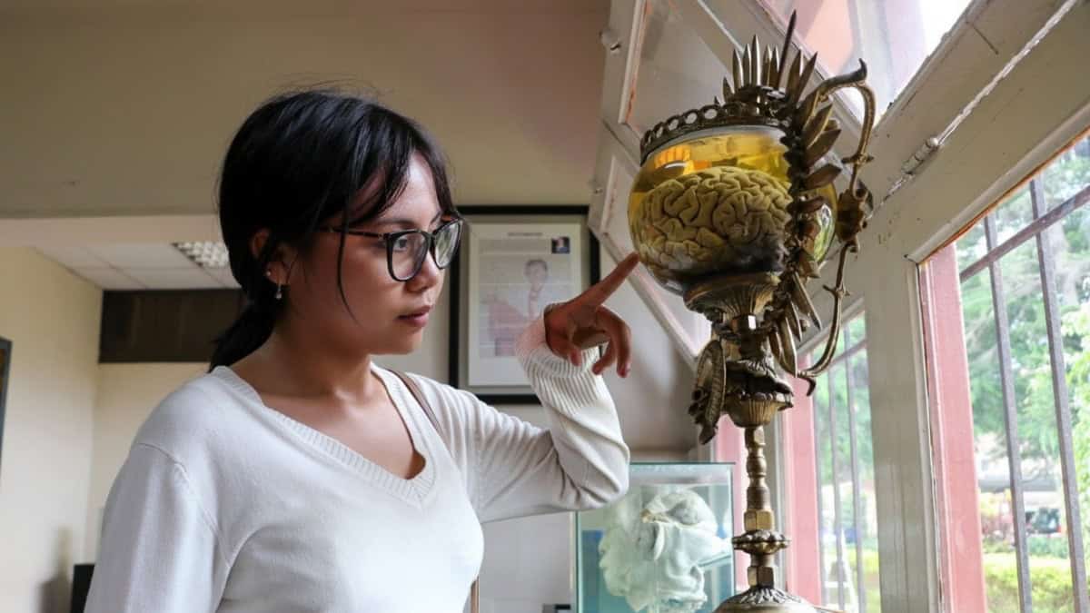 MUSEO DEL CEREBRO EN LIMA