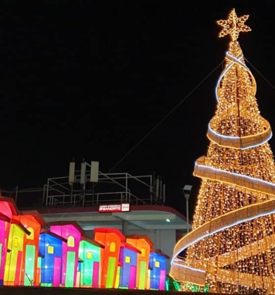 NAVIDAD ENCANTAD EN EL PARQUE GUANAJUATO BICENTENARIO