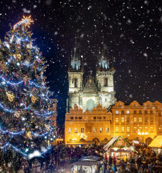 PORTADA VACACIONES DE INVIERNO