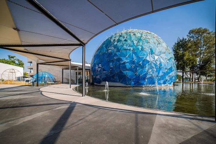 1. Lunaria. Foto - Gobierno de Jalisco