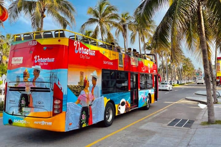 1. Turibus en Veracruz. Foto - @love_veracruz_ (X)