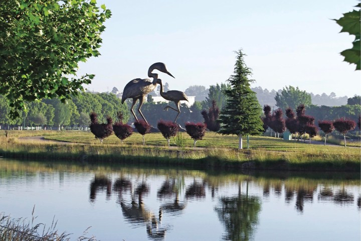 3. Lago de las Garzas en Guachochi, Chihuahua. Foto - Visit México