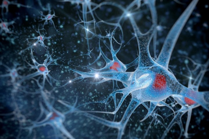 4. Representación artística de las neuronas. Foto - Psicología y Mente