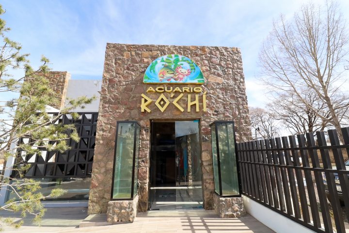 4. Avance del Acuario Rochi del Corredor Turístico "Pies Ligeros". Foto - @turismodechihuahua (Instagram)