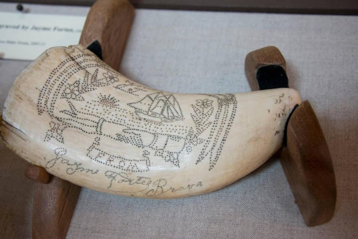 5. Pieza de scrimshaw con técnica de punteado. Foto - Alamy