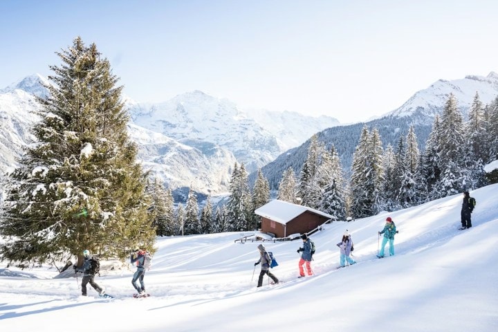 5. Caminata en Interlaken. Foto - Interlaken Tickets