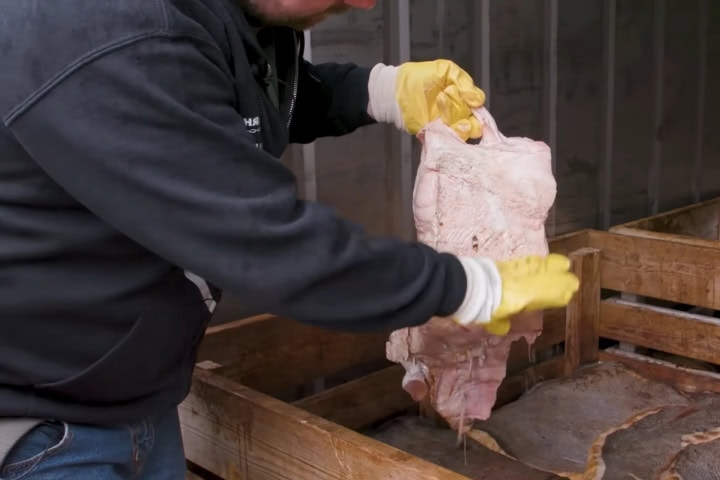 5. Fermentación de carne de tiburón. Foto - Insider Food (YouTube)