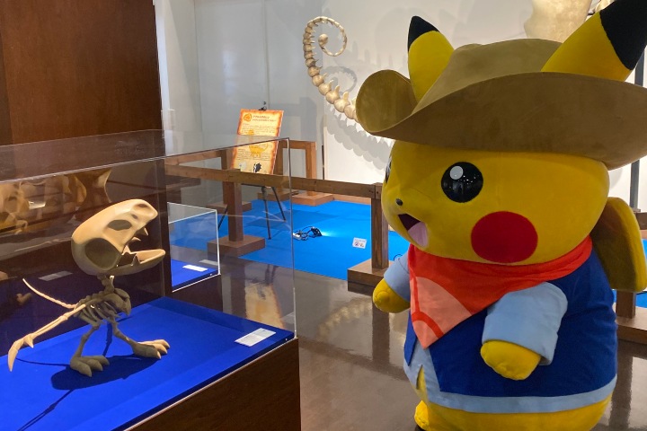 5. Excavator Pikachu. Foto - Pokémon Pickup Japan (Facebook)