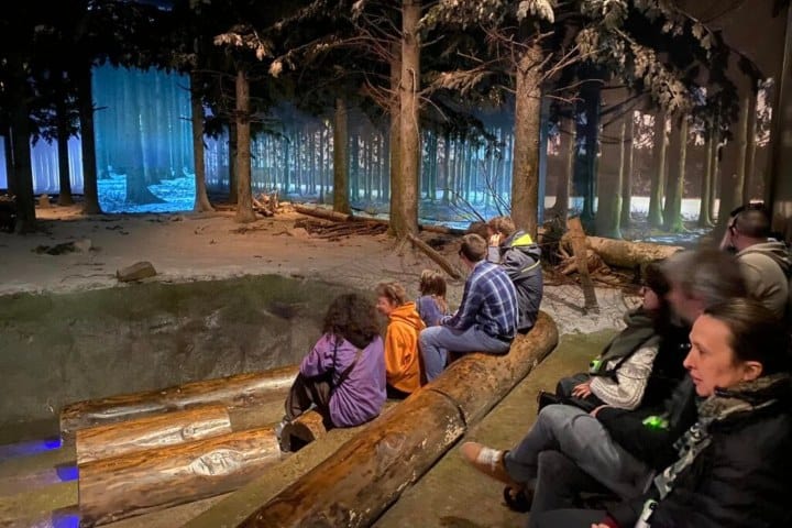 6. Experiencia inmersiva en el Museo de la Guerra de Bastoña. Foto - Athénée Royal Robert Campin