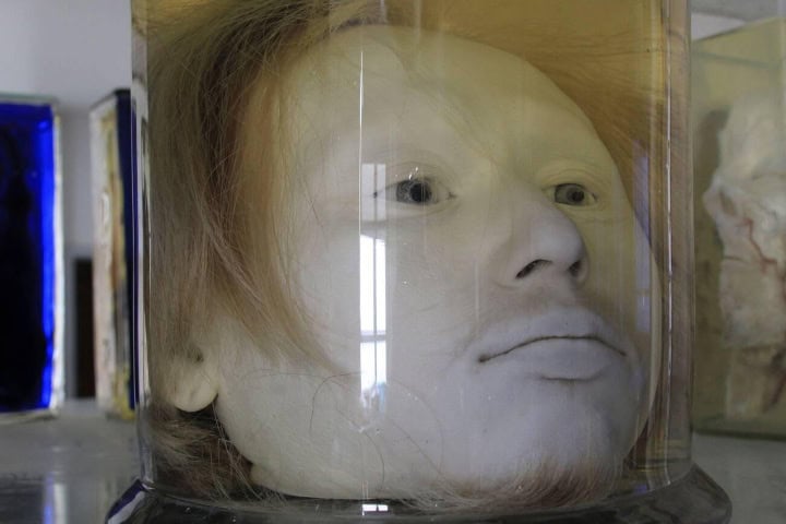6. Rostro de Diogo Alves. Foto - Alamy