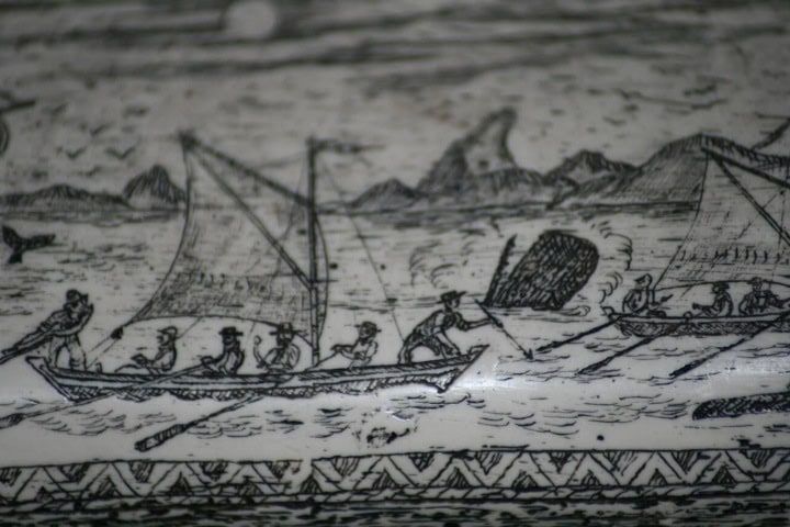 6. Dibujo de scrimshaw. Foto - Alamy