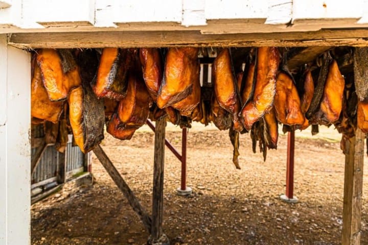 6. Secado de carne de tiburón de Groenlandia. Foto - Tellerrand-Stories