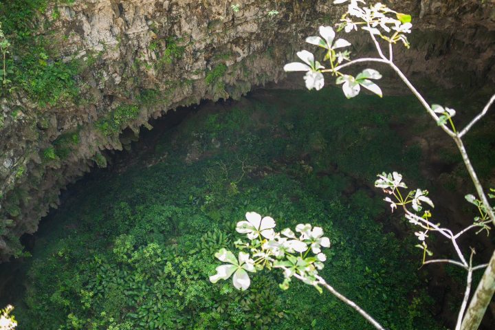 6. Borde de la Sima del Cielo. Foto - SIMA DEL CIELO Aventura Zoque (Facebook)
