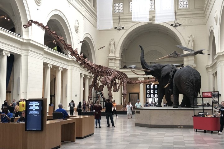 6. Field Museum of Natural History en Chicago. Foto - Viajes Globetrotter