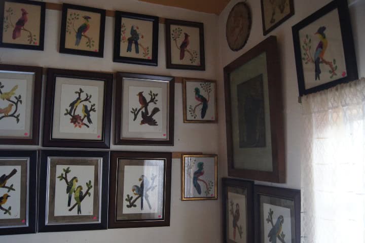 9. Cuadros de arte plumario. Foto - Gus Espinosa