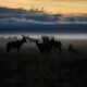 DESCUBRE MASAI MARA