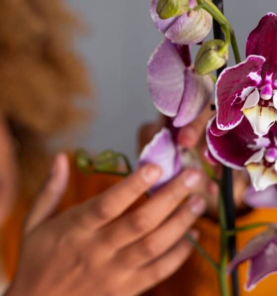 DÍA DE LA ORQUÍDEA