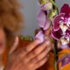 DÍA DE LA ORQUÍDEA
