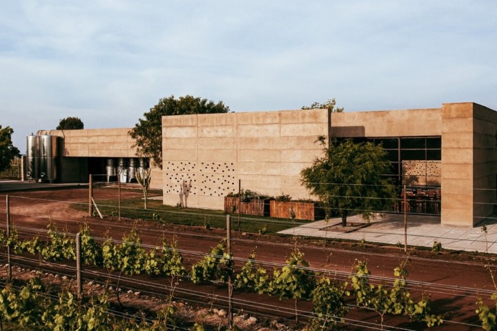 2. Viñedo Cuna de Tierra. Foto - Wine Tourism