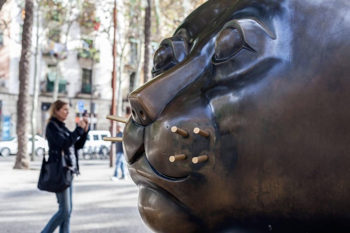 2. Rostro del Gato de Botero. Foto - Alamy