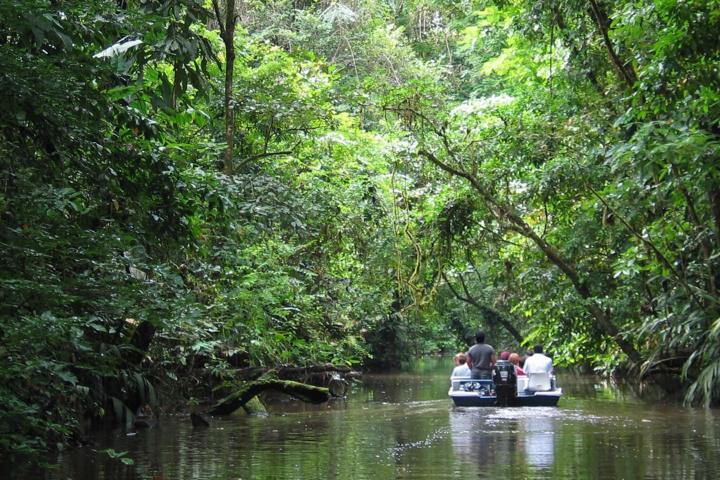 3. Paseo en bote en manglares del Parque Nacional Tortuguero. Foto - @gocollette (Instagram)