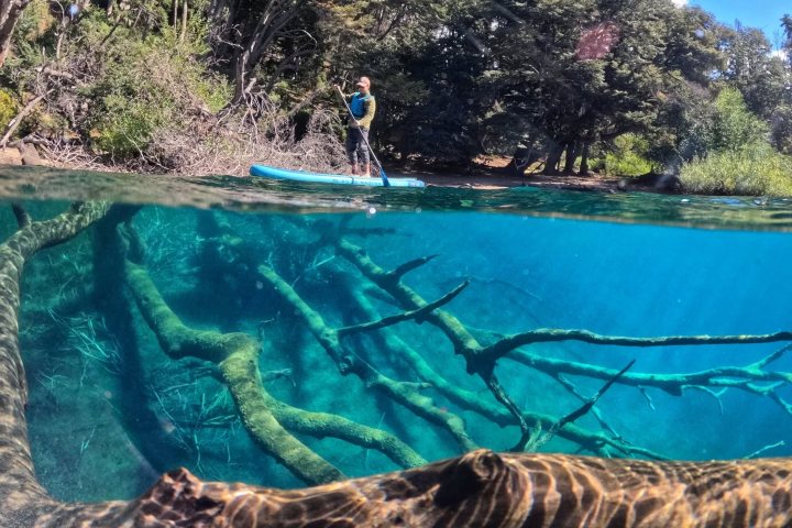4. Paddle Board sobre el Bosque Sumergido del Lago Truful. Foto - @villatrafulsup (Instagram)