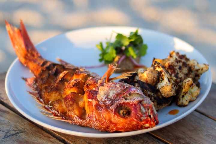 4. Pescado en Punta MIta. Foto - @elbarracudapuntademita (Instagram)