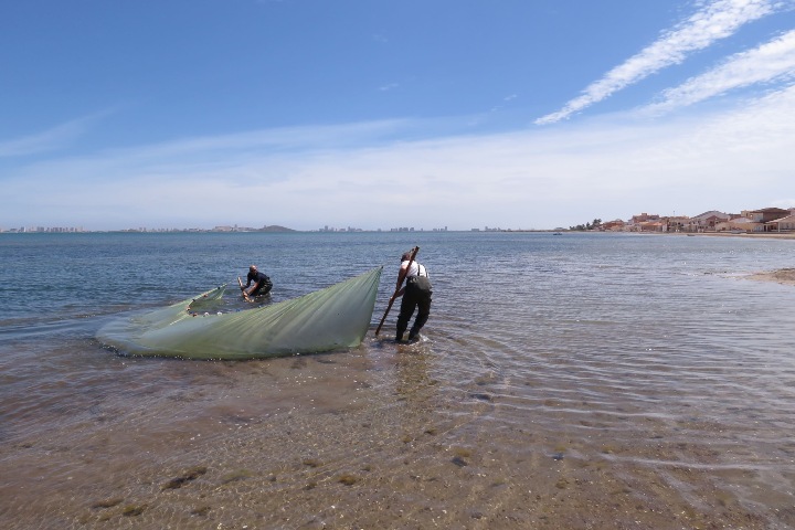 4. Pesca con red de arrastre, conocida como "chango" en el sur de Sinaloa. Foto - Science Media Centre España