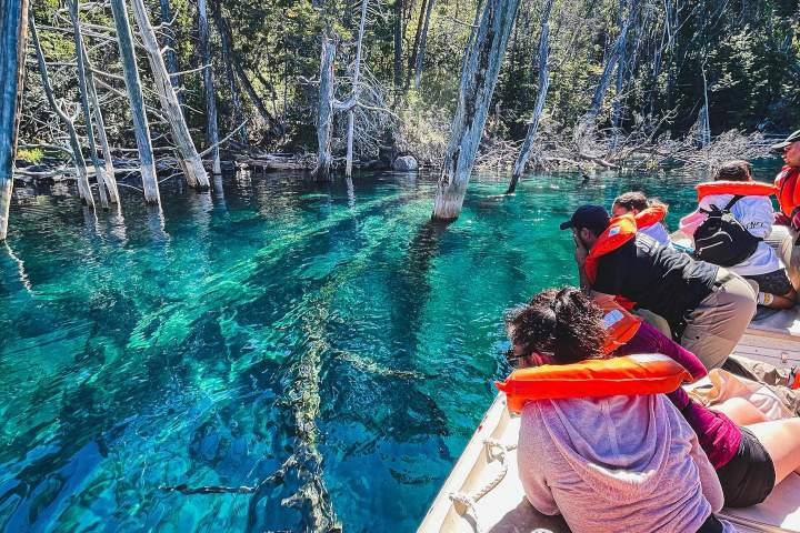 5. Paseo en bote por el Bosque Sumergido del Lago Truful. Foto - @trafulextremo (Instagram)