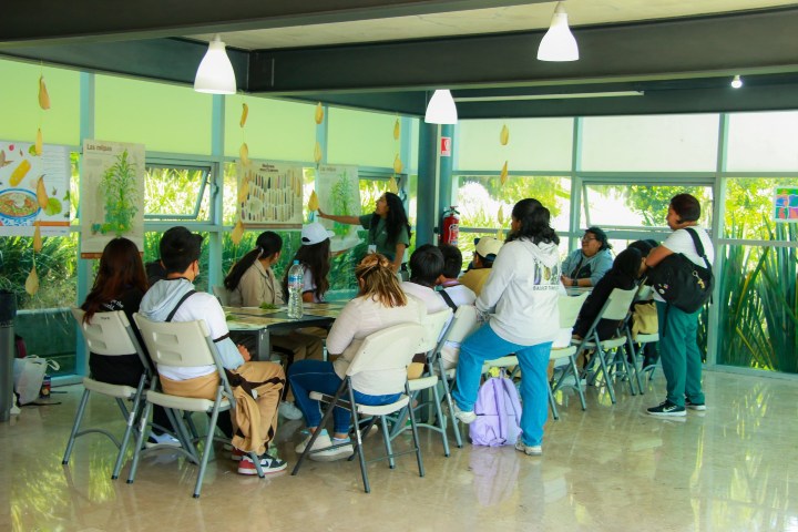 5. Centro de Educación Ambiental y Cultural “Muros de Agua-José Revueltas". Foto - Centro de Educación Ambiental y Cultural Muros de Agua - José Revueltas (Facebook)
