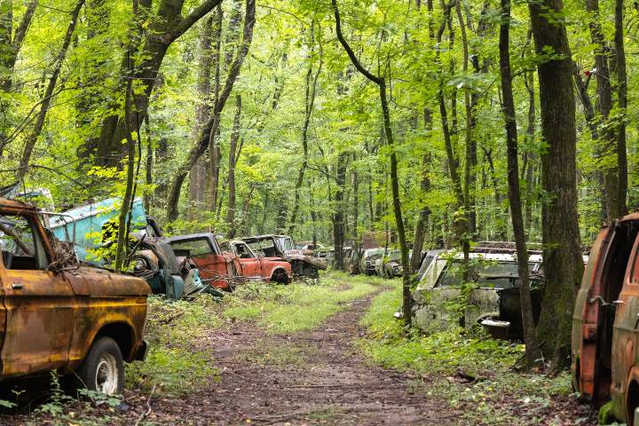 6. Sendero en Old Car City. Foto - American Muscle Car Museum (Facebook)