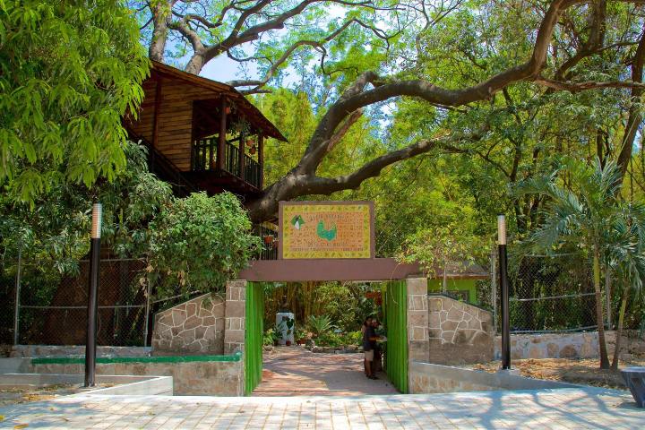 6. Museo Jardín Botánico Faustino Miranda. Foto - Tuxtla Gutiérrez (Expedia)