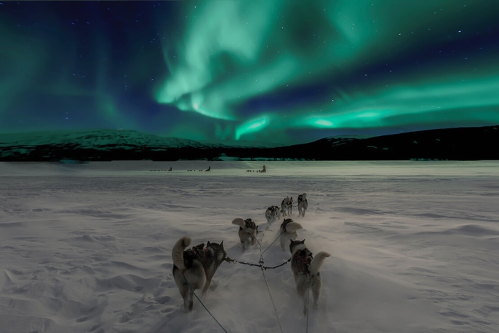 7. Trinero de perros con aurora boreal. Foto - Destinolunademiel